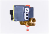 Auto Drain Valve